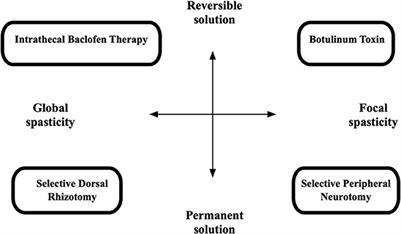 Management of Spasticity After Traumatic Brain Injury in Children